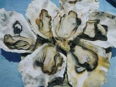 -千岛蚝高压锅生蚝·人参火锅(白云万达店)