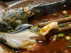 -谭记石锅鱼府(三道堰店)