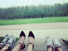 -合肥滨湖国家森林公园