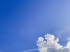 -251#coffee roasters(沿河东路店)