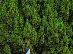 -南沙蒲洲花园