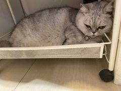 -Oasis绿洲银饰珍珠手作diy(壹方城店)