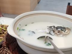 -紫藤园·天目湖大鱼头(南山竹海店)
