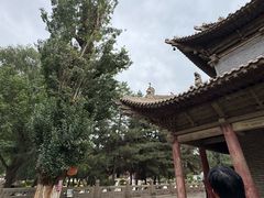 -张掖大佛寺景区