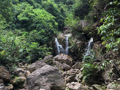 -南海湾森林生态园