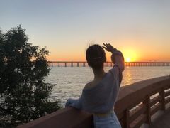 -宝安西湾红树林湿地公园