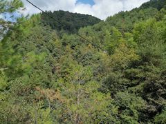 -磐安十八涡风景区