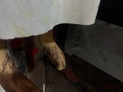 -Xcape异时刻密室逃脱真人NPC(新世界崇文门店)