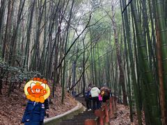 -敬亭山风景名胜区