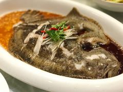 清蒸多宝鱼-百富源·海鲜辽菜(和平北大街店)