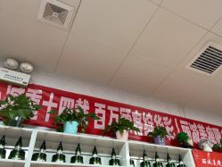-丽减美瘦吧·减肥瘦身