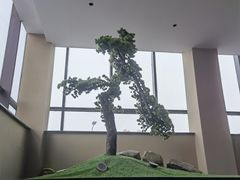 -码头鲜精致威海菜(欧乐坊店)