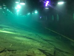 -白鹤梁水下博物馆