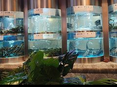 -老船舫·现做活鲜鱼馆(东郊记忆店)