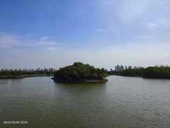-塘沽森林公园