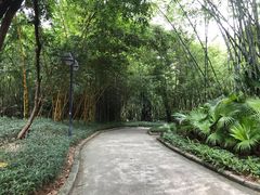 -晓港公园