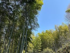 -杭州黄龙洞