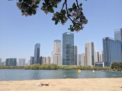 -天鹅湖体育公园