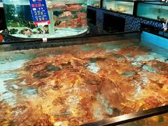 -尚海豆捞(乐虹坊店)