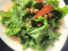 丁香炒山苏-百家班(市府店)