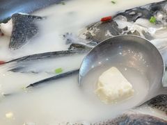 -浔味·山屿湖·正宗全鱼宴老字号