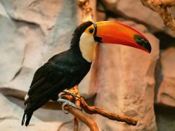 -Zoolung Zoolung动物主题公园(海信广场店)