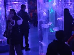 -梦幻海洋王国(吾悦广场张家港店)