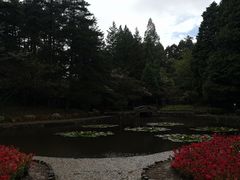 景点-庐山风景区花径公园