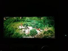 -中影国际影城(神农万达广场CINITY店)