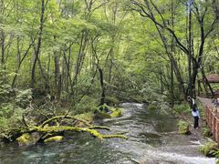 -叠溪松坪沟景区