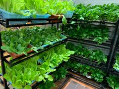 -苏格里岛自助海鲜火锅烧烤(大汉悦中心店)