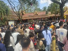 -西双版纳傣族园
