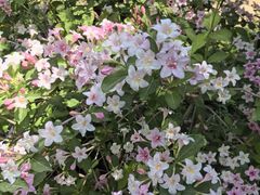 -昆嵛山石门里景区