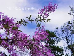 -国家植物园
