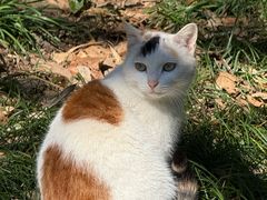 -敬亭山风景名胜区