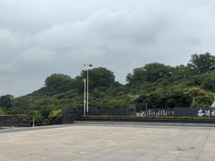 -立新湖公园