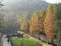 -白水寺森林公园