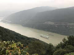 -铁山坪森林公园