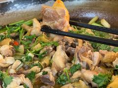 -食德喜·阳山鸡王食研基地