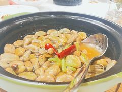 -西郊5号·Maggie 5