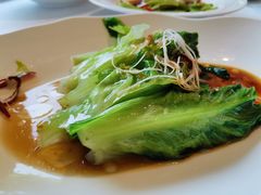 葱油西生菜-月福京味斋·烤鸭店·北京菜(鼓楼总店)