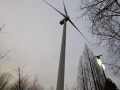 -黄海国家森林公园