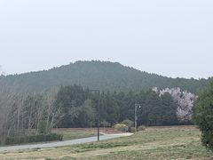 -秦始皇帝陵博物院-丽山园