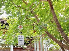 -VOYAGE COFFEE(杨梅竹店)