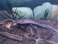-梦幻海洋王国(吾悦广场张家港店)