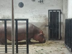 android_upload_pic-石家庄市动物园