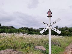 -济州森林小火车生态公园