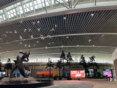 -青岛胶东国际机场