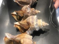 烤海螺-马路边上·小海鲜烧烤(八一路店)