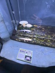 -Zoolung Zoolung动物主题公园(海信广场店)